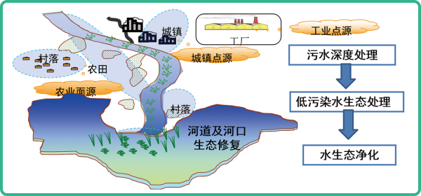 人工濕地，人工濕地建設