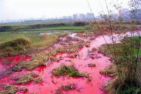 河北華清
